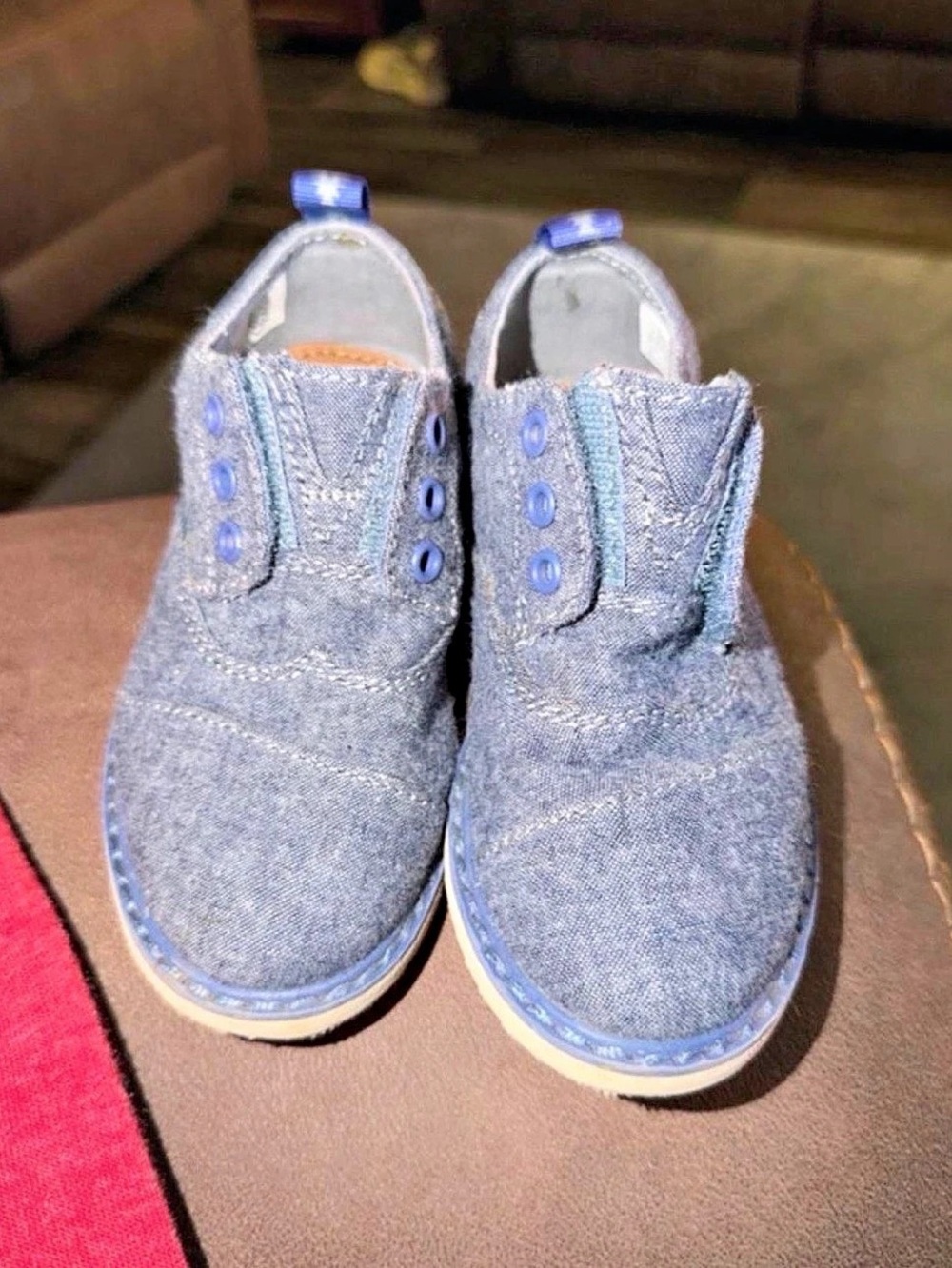 TOMS Blue Canvas Sneakers